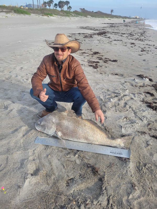 Captain B's Surf Fishing Charters