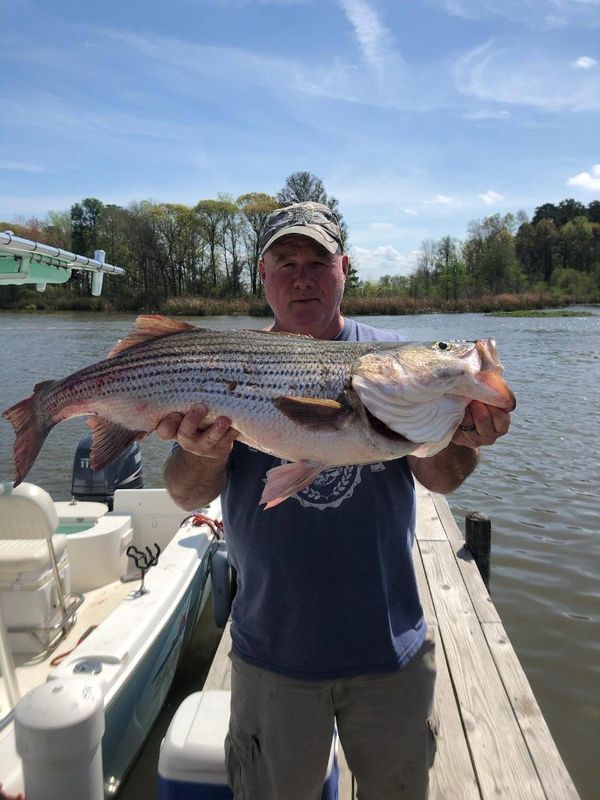 Captain Leroy's Striper Charters