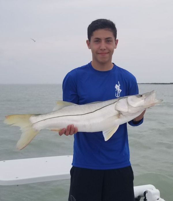 Reel Therapy Charter Service