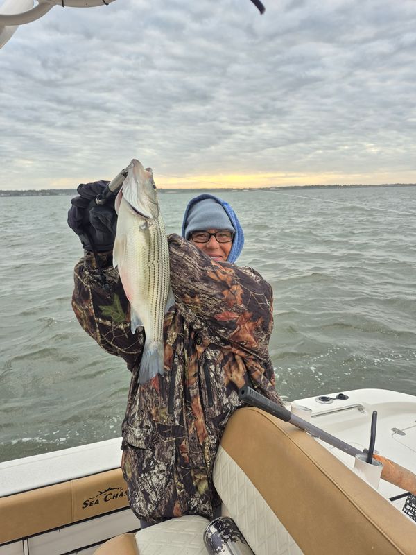 Fish Head Water Sports