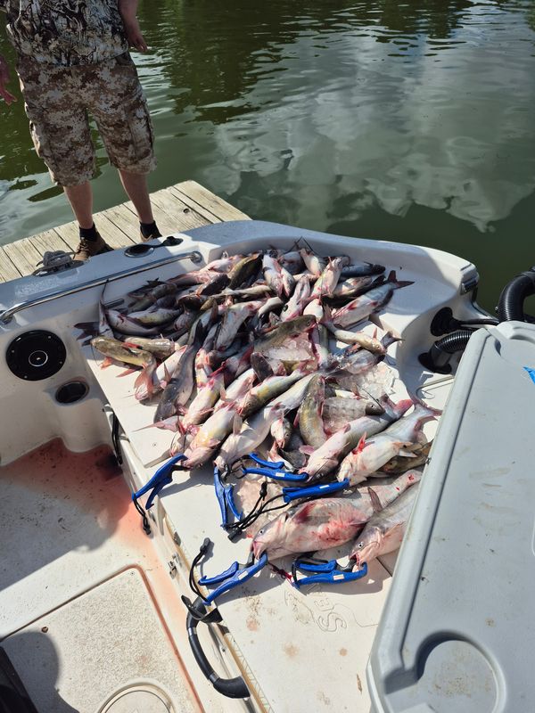 Fish Head Water Sports