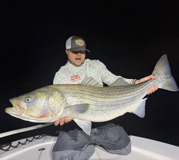 Rising tide fishing