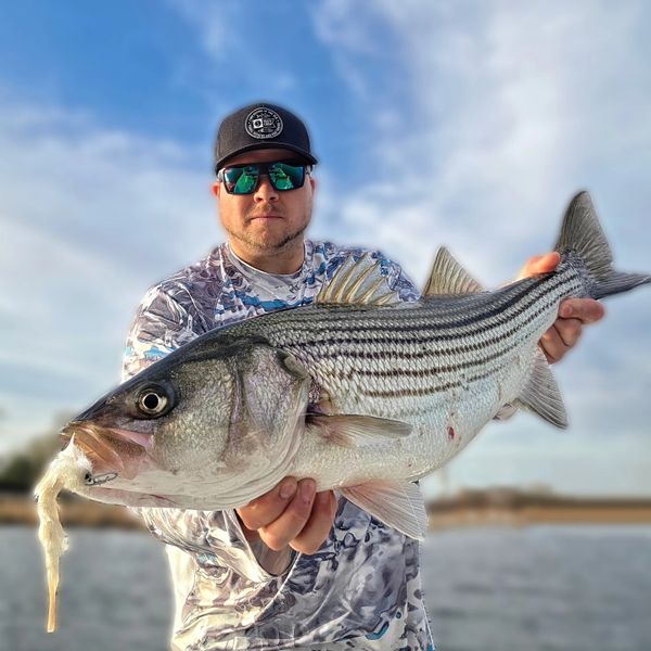 Rising tide fishing