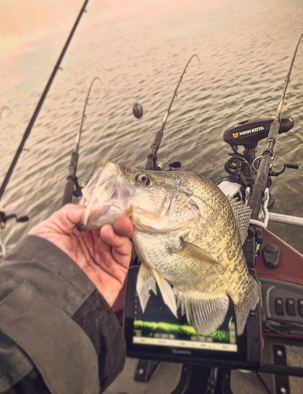 Lance Hughey Crappie Guide Service