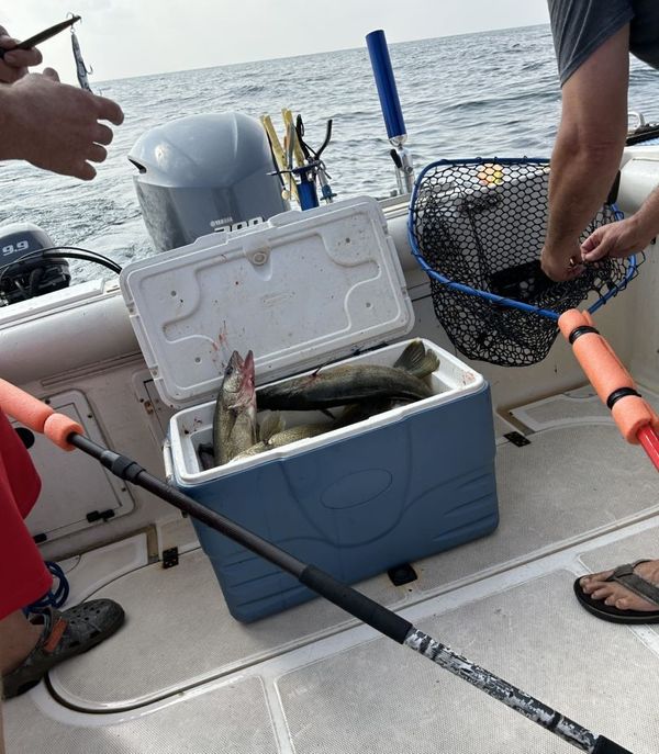 Pro-Tek Fishing Walleye Charters