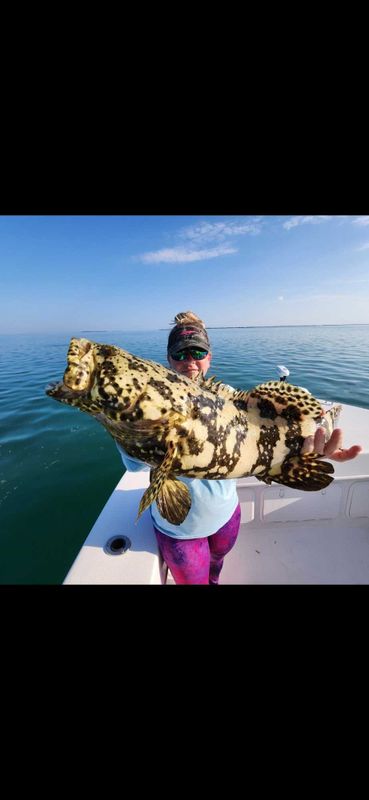 Calypso Cowboy Charters