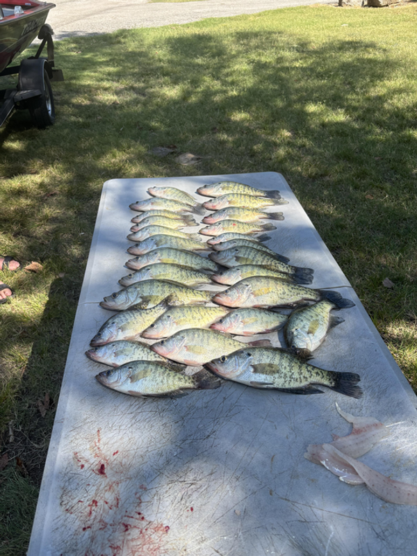 Slabbin Mike’s Crappie Fishing and Guide Service