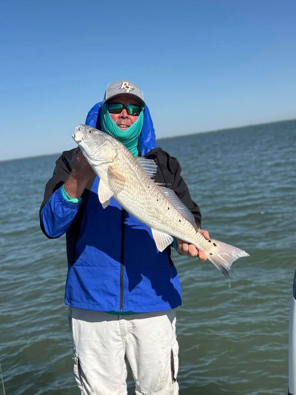 Live Oak Outfitters
