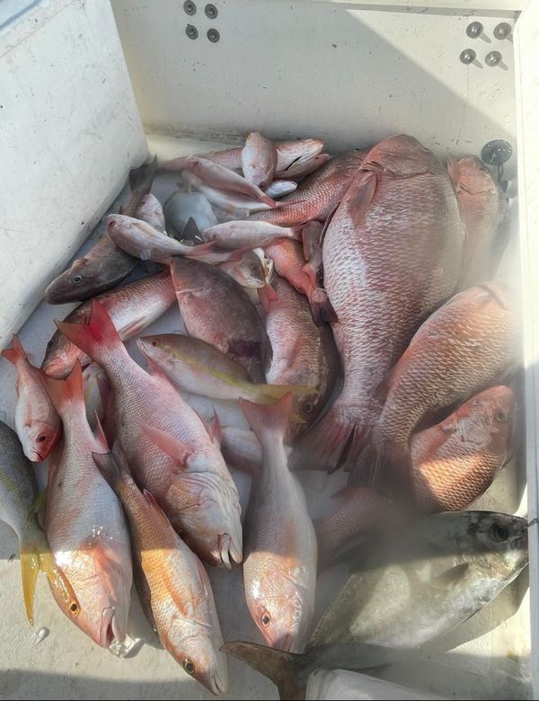 Outlaw Charters, Fort Myers Beach