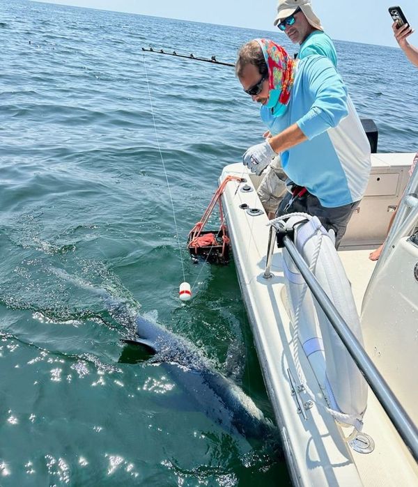 Little Falls Fishing Charters