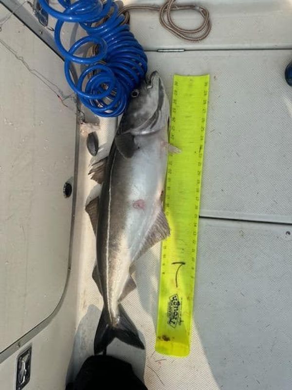 Little Falls Fishing Charters