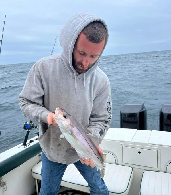 Little Falls Fishing Charters