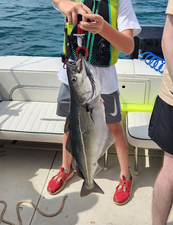 Little Falls Fishing Charters
