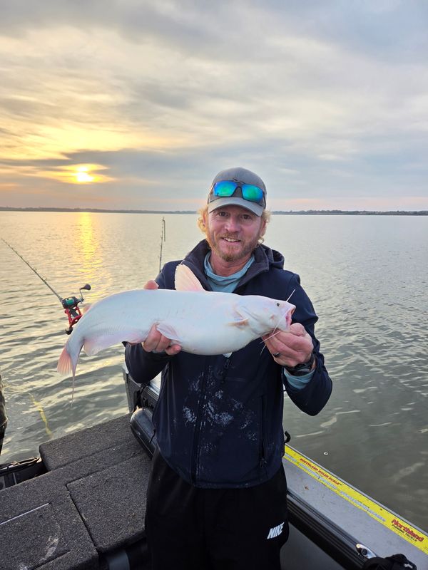 Fish n Tales Go