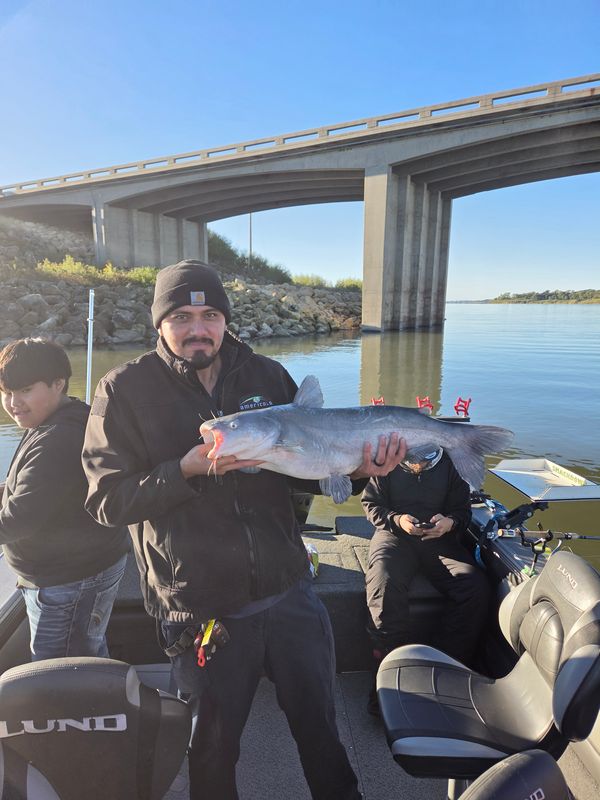 Fish n Tales Go