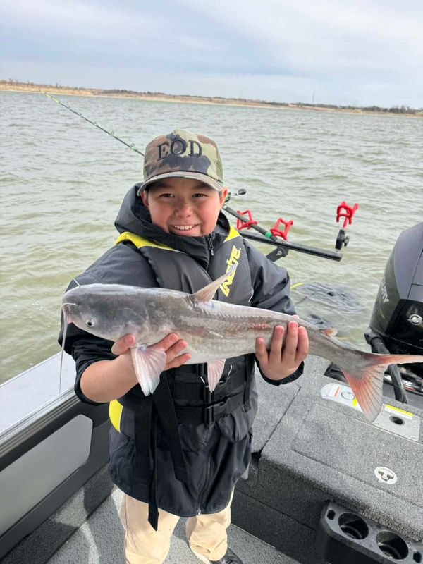 Fish n Tales Go