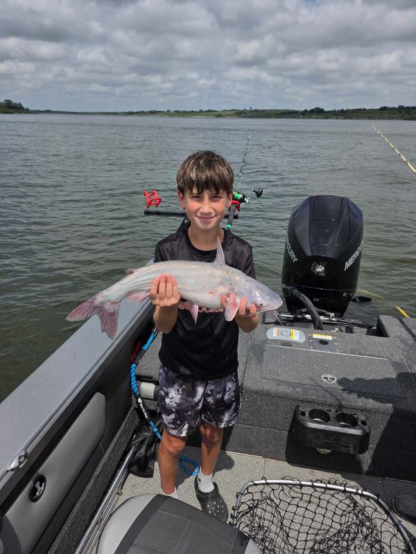 Fish n Tales Go