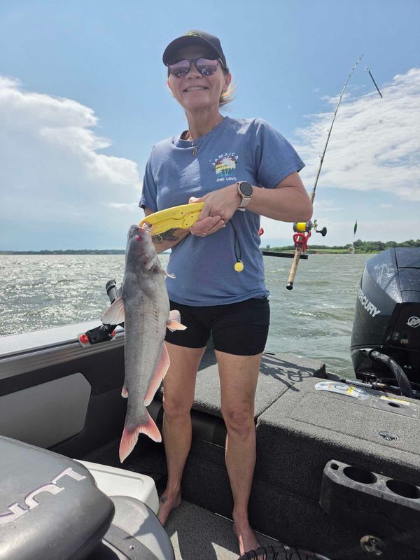 Fish n Tales Go