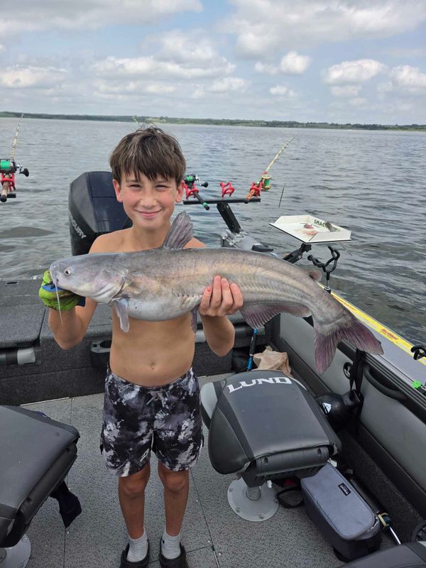 Fish n Tales Go