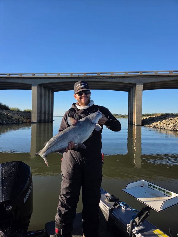 Fish n Tales Go