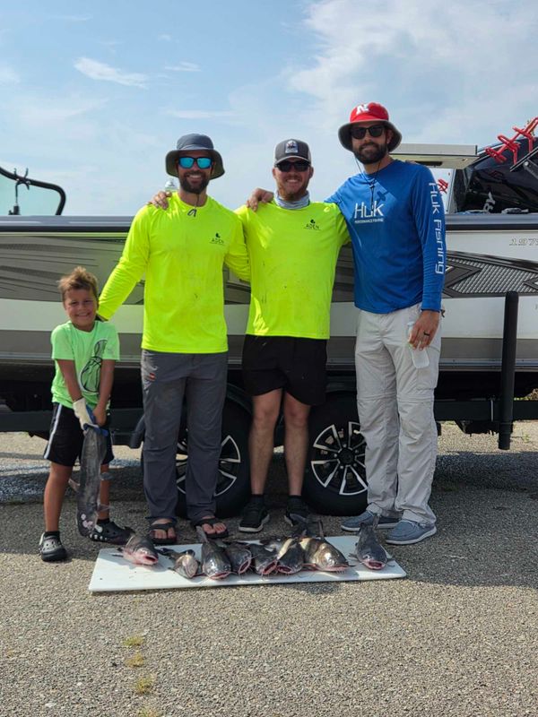 Fish n Tales Go