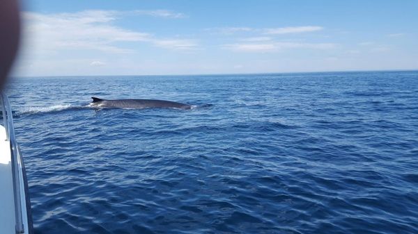 Adventure and Catch Charters