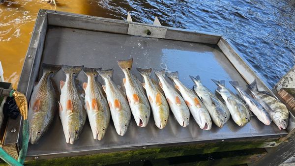 Double Hooker Fishing Charters