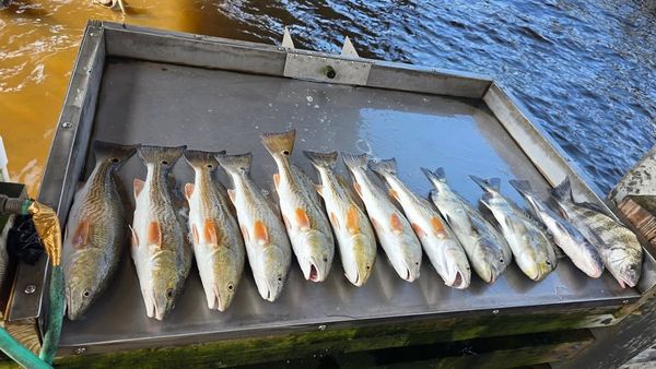 Double Hooker Fishing Charters