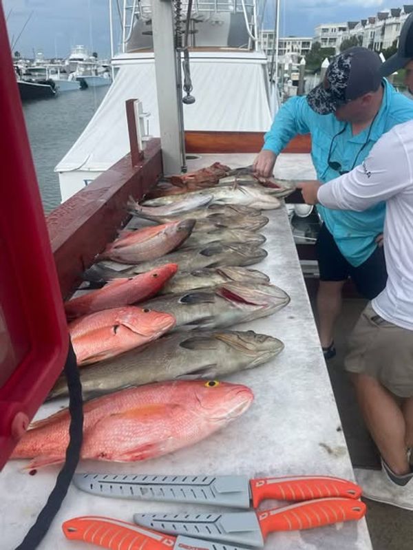 Lowcountry Offshore Fishing