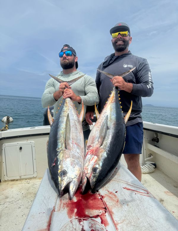 Fathom Charters