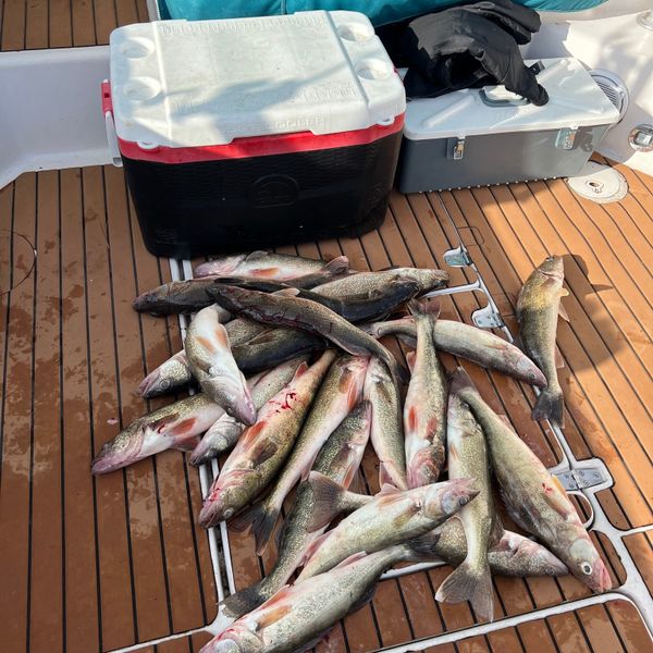 Addicted to Hookin Charter