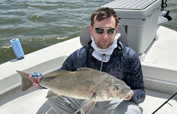 ARF Charters