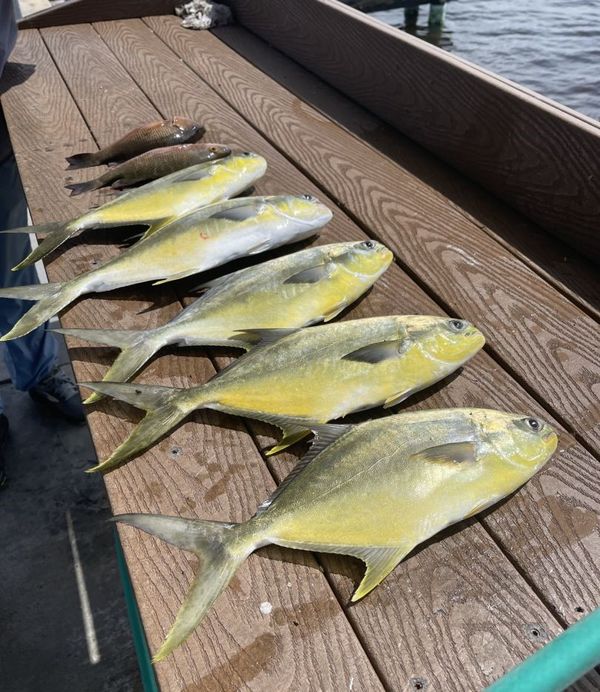 ARF Charters