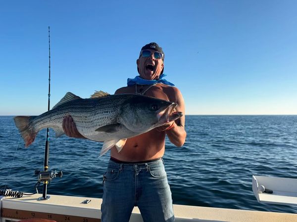 Stripe Tease Sportfishing