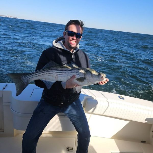 Stripe Tease Sportfishing