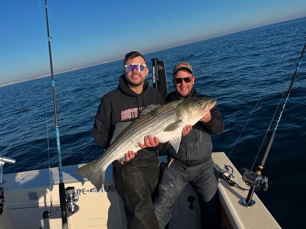 Stripe Tease Sportfishing