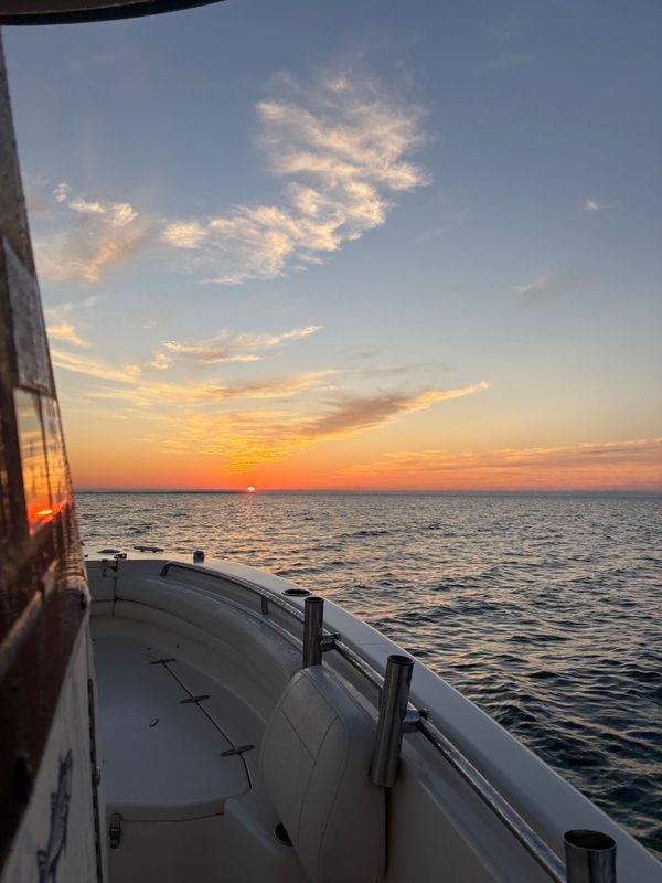 In The Net Sportfishing Cape Cod