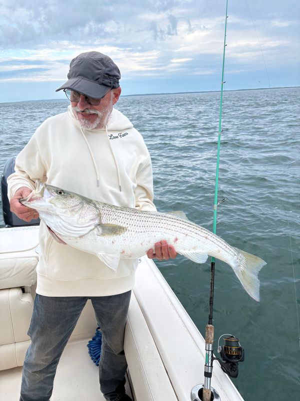 In The Net Sportfishing Cape Cod