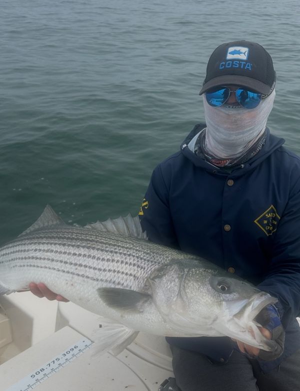 In The Net Sportfishing Cape Cod