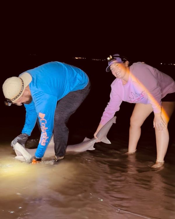 Catterman Adventures, LLC