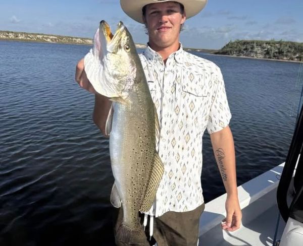 Blue Rush Charters