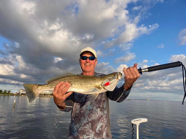Sea Dawg Charter