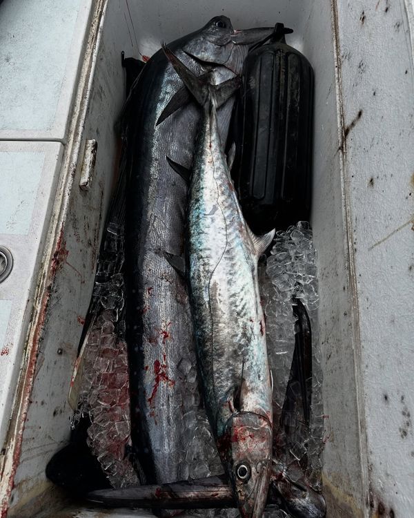 Fort Lauderdale Beach Charters