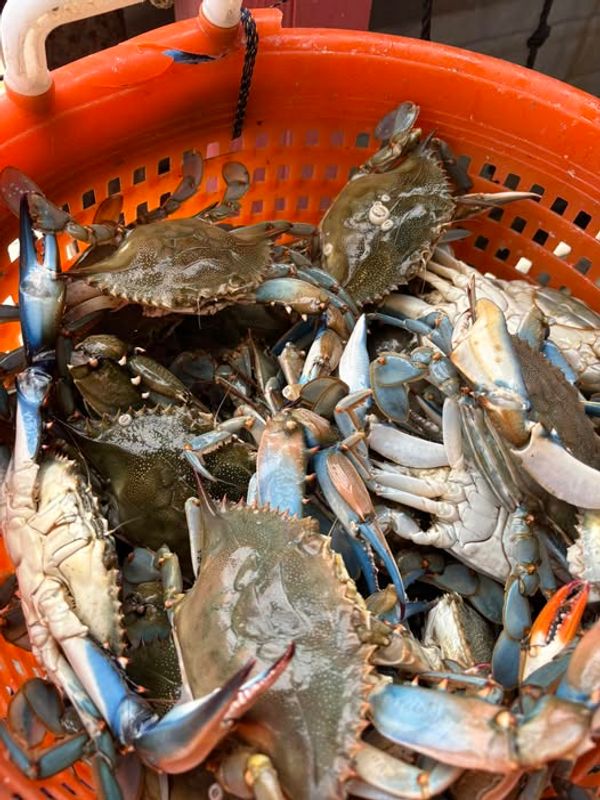 Harbor City Bait Shop