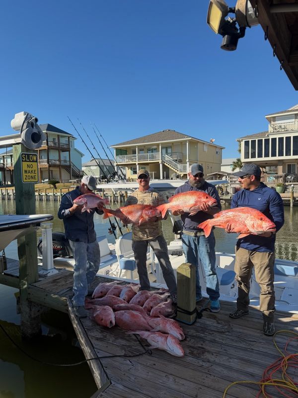 Harbor City Bait Shop