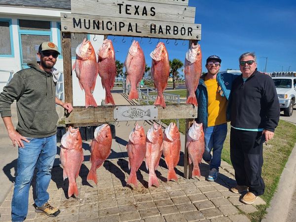 Harbor City Bait Shop