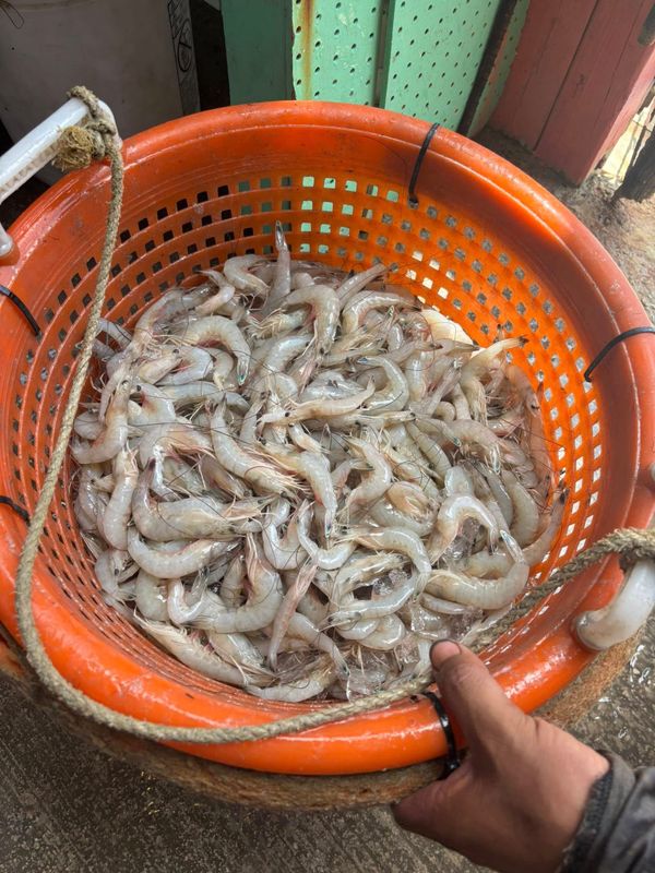 Harbor City Bait Shop