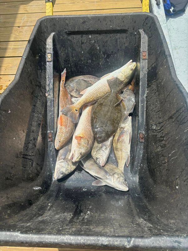 Port O Connor Coastal Outfitters