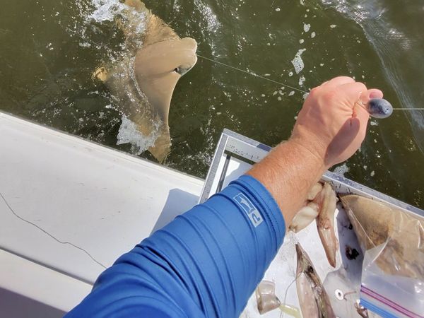 Reel Tore Up Charters LLC