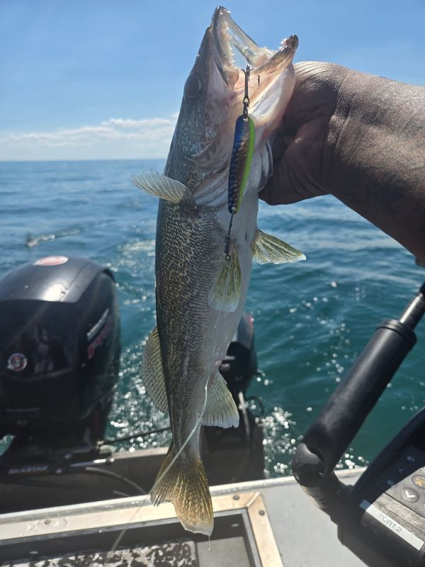 Yeah Baby Fishing Adventures